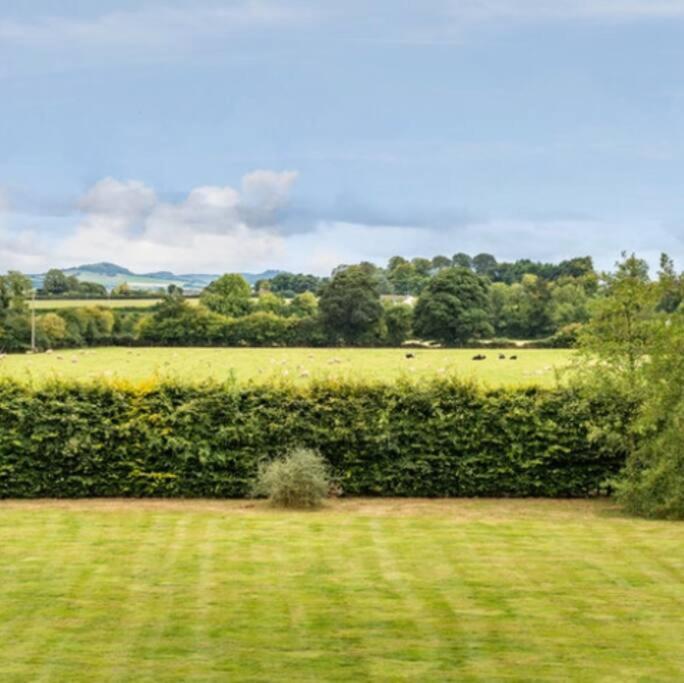 Killenard Kottage, Killenard, Laois Apartment Bagian luar foto