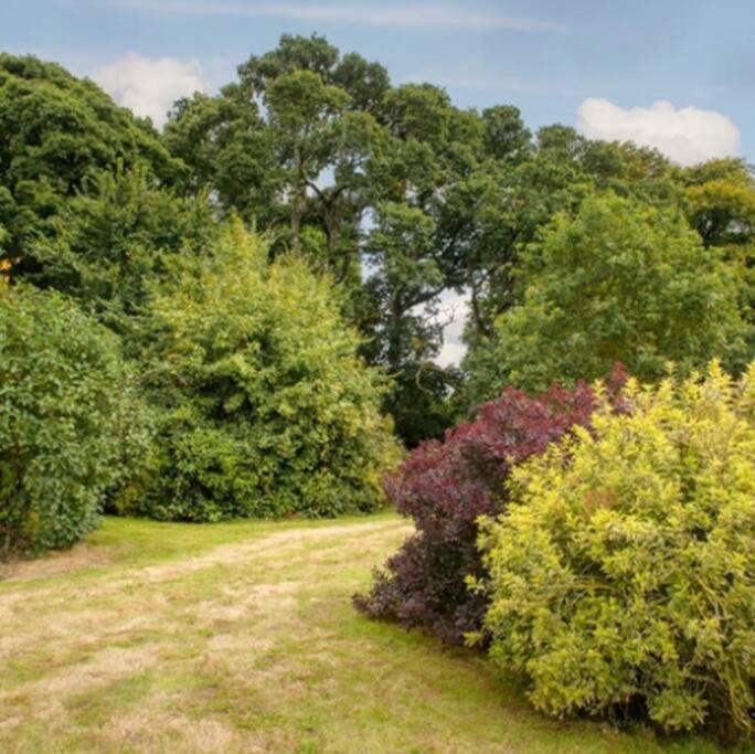Killenard Kottage, Killenard, Laois Apartment Bagian luar foto